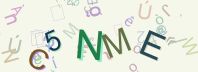 This is a captcha-picture. It is used to prevent mass-access by robots. (see: www.captcha.net)